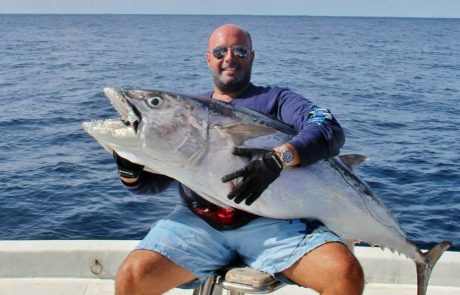 10353169_699358920158550_3402581549653862700_n