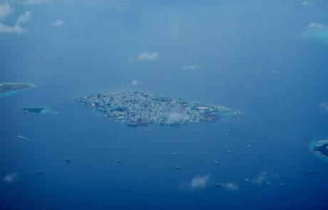 1175520_496450547116056_1384428211_n