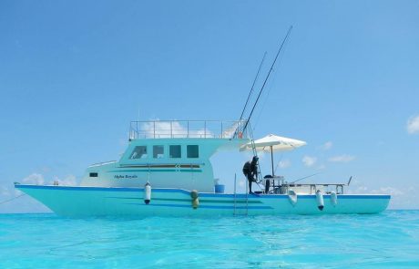 1526280_576355789125531_1615087560_n