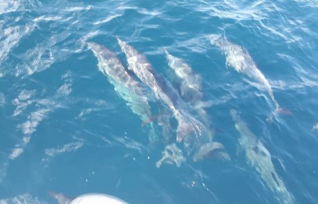 15442127_1252212131539890_7868019073243755478_n