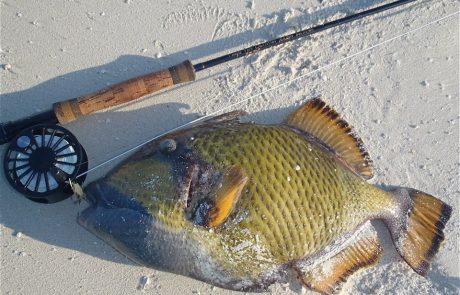 644288_417693551658423_1372773955_n